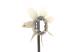 Fan Wheel, engine cooling - CFW63000P MAHLE - 1636167020, 376791441, 8MV376791-441