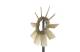 Fan Wheel, engine cooling - CFW65000P MAHLE - 16361-54130, 376791461, 16361-54131