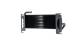 Ölkühler, Motoröl - CLC56000P MAHLE - 376726391, 446006N, AL31239