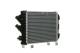Radiator, engine cooling - CR1024000P MAHLE - 3002384, 376750331, 480001N