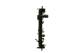 Radiator, engine cooling - CR1178000P MAHLE - 0000050514472, 010016N, 01002121