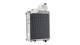 Radiator, engine cooling - CR1730000P MAHLE - 099M06, 376783631, 404670