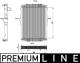Radiator, engine cooling - CR2098000P MAHLE - 21675277, 376908031, 390048N