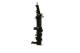 Radiator, engine cooling - CR895000P MAHLE - 023M62, 105092, 123178