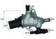 Thermostat, Kühlmittel - TI14283 MAHLE - 350331, 55227056, 862041183