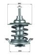 Thermostat, coolant - TX5983 MAHLE - 04204796