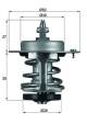 Thermostat, Kühlmittel - TX6979 MAHLE - 19300-PE0-013, 328-77, 4269.78