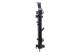 Radiator, engine cooling - CR1154000S MAHLE - 01093123, 105672, 123194