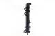 Radiator, engine cooling - CR1696000S MAHLE - 105040, 105259, 21002064
