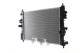 Radiator, engine cooling - CR1697000S MAHLE - 1300346, 13393983, 37002683