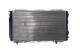 Radiator, engine cooling - CR2174000S MAHLE - 0000071735349, 0204.2031, 100190