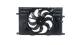 Fan, radiator - CFF557000P MAHLE - 0000052070228, 52070228, 68363855AA