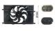Fan, radiator - CFF557000P MAHLE - 0000052070228, 52070228, 68363855AA