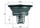 Thermostat, Kühlmittel - THD376 MAHLE - 20441483, 40673, 7421237215