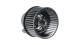 Interior Blower - AB244000P MAHLE - 1696011, 351150601, 87491