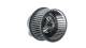 Interior Blower - AB247000P MAHLE - 05991187, 069412234010, 1362640