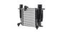 Intercooler, charger - CI12000P MAHLE - 0707.3012, 12765753, 197006N