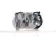 Compressor, air conditioning - ACP1483000S MAHLE - 0008305100, 000830510080, 8305100