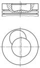Piston - 227PI00101020 MAHLE - 51025110337, 51025117308