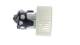 Interior Blower - AB151000P MAHLE - 05991238, 069412702010, 351040241
