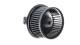 Interior Blower - AB238000P MAHLE - 069412253010, 130115551, 351150511