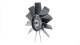 Fan, radiator - CFF496000P MAHLE - 376907021, AM-19081-1-M, PGG000080