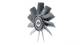 Fan, radiator - CFF496000P MAHLE - 376907021, AM-19081-1-M, PGG000080
