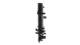 Radiator, engine cooling - CR1929000P MAHLE - 376792331, 9X238005BE, C2D26542