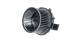 Interior Blower - AB67000P MAHLE - 009159581, 05991176, 069412697010