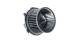 Interior Blower - AB67000P MAHLE - 009159581, 05991176, 069412697010