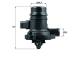 Thermostat, Kühlmittel - TM36103 MAHLE - 103377, 1338031, 25200455