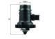 Thermostat, Kühlmittel - TM37103 MAHLE - 1338029, 25200454, 4006041