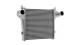 Intercooler, charger - CI397000P MAHLE - 0000099455374, 0704.3039, 30231
