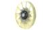 Fan, radiator - CFF521000P MAHLE - 20005526, 376911-641, 48298