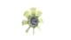 Fan, radiator - CFF425000P MAHLE - 1404903, 278003N, 376728351