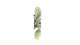 Fan, radiator - CFF507000P MAHLE - 376911-481, 7421983189
