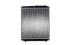Radiator, engine cooling - CR100000P MAHLE - 376701911, 9675000501, A9675000501