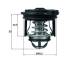 Thermostat, Kühlmittel - TI24650 MAHLE - 1780508, 4006313, TH7335.50J