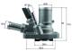 Thermostat, Kühlmittel - TI25880 MAHLE - 0000055250746, 7.8938, TH6986.80J