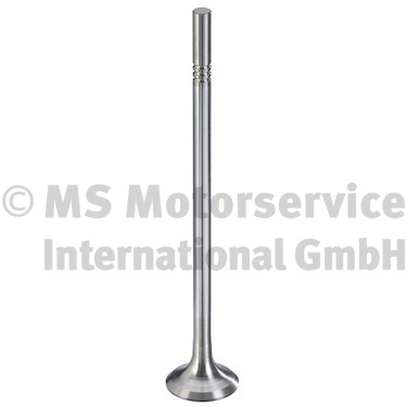 Exhaust valve - 181125 TRW Engine Component