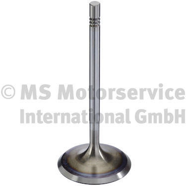 Einlassventil - 300104 TRW Engine Component - 9A110531002