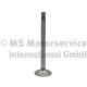 Intake Valve - 1132 TRW Engine Component - 11341254625, 081VE30568000, 2190.032