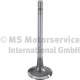 Einlassventil - 160054 TRW Engine Component - 4570530001, 5410500226, A4570530001