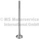 Exhaust valve - 181125 TRW Engine Component
