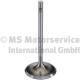 Einlassventil - 300104 TRW Engine Component - 9A110531002