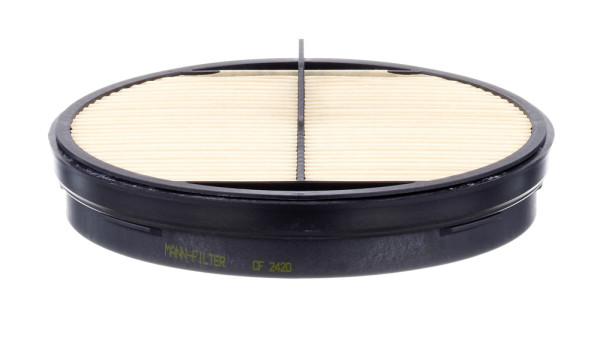 CF 2420, Secondary Air Filter, Filter, MANN-FILTER, 1535011, 49520, AF27947, P547520, PA5418, RE181915