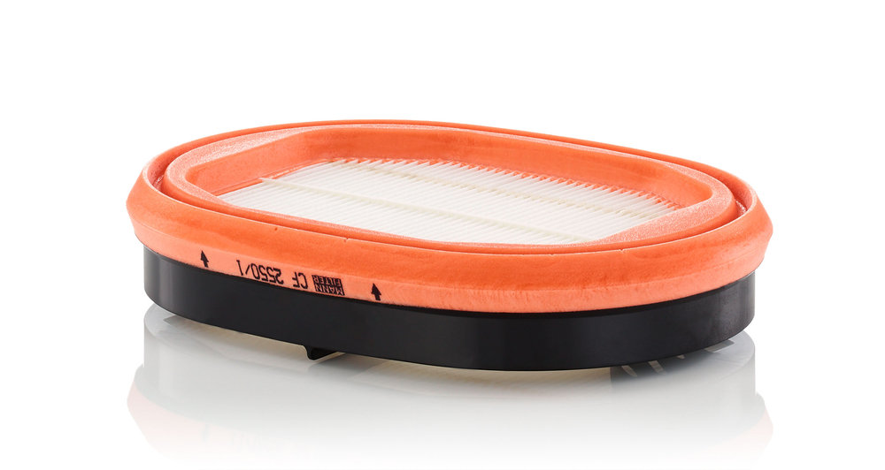 Sekundärluftfilter - CF 2550/1 MANN-FILTER - 4288979M1, 84497893, E2001LS