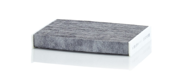 CUK 25 012, Filter, Innenraumluft, Filter, MANN-FILTER, 17557K, 1987435556, 272772519R, 4819-ACC, 48502, 54.257.00, 60948502, 640, 715802, 80004702, A.221.014.00, ADR162512, AHA386, ALC-6558, CFA11544, CK25012C, CU25012, EC678, EKF371A, EKR7307, FCA-10015C, FK430, HCK7236, K1330A, KF10305C, LAK891, PCK8355, S4257CA, SAK359, WP2101