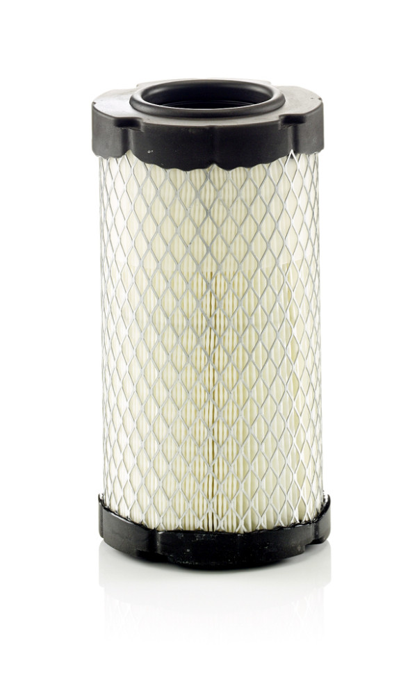 Luftfilter - C 10 007 MANN-FILTER - 1725-104-313-00, 1G319-11210, E2057L