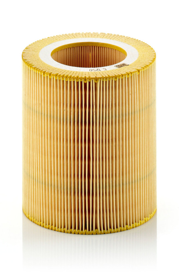 Luftfilter - C 1250 MANN-FILTER - 0170.8901.0, 10000/1611, 27.B31.00